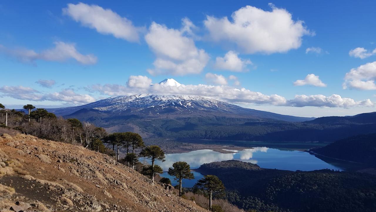 Paisaje natural asociado a la consultora